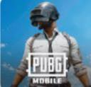 pubgmobile国际服官方正版