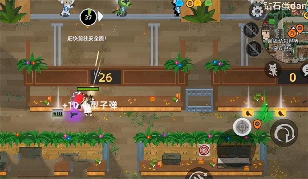 小动物之星[图1]