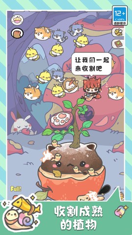 萌猫奇妙世界[图2]