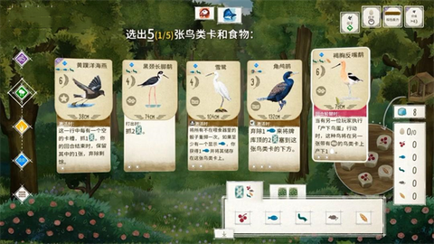 展翅翱翔[图2]