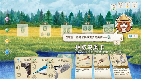 展翅翱翔[图4]