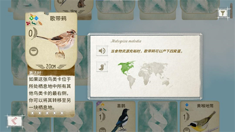 展翅翱翔[图8]