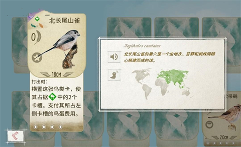 展翅翱翔[图9]