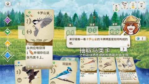 展翅翱翔[图12]