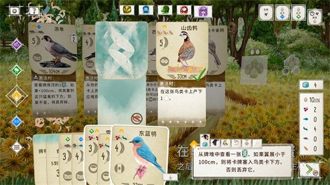 展翅翱翔[图15]
