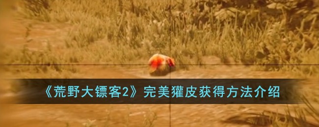魔域战士副本攻略魔域战士副本攻略大全